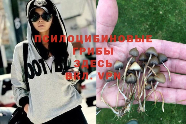 каннабис Покачи