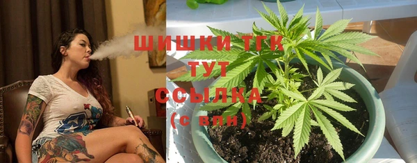 молекула духа Баксан